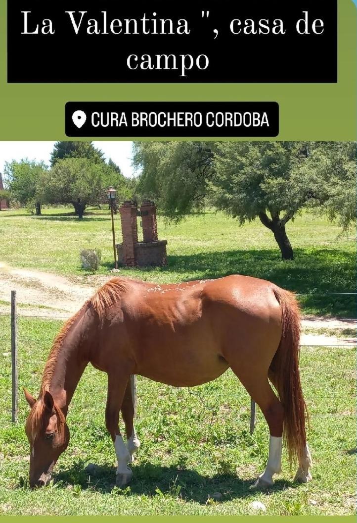 La Valentina Casa De Campo Villa Cura Brochero Eksteriør billede